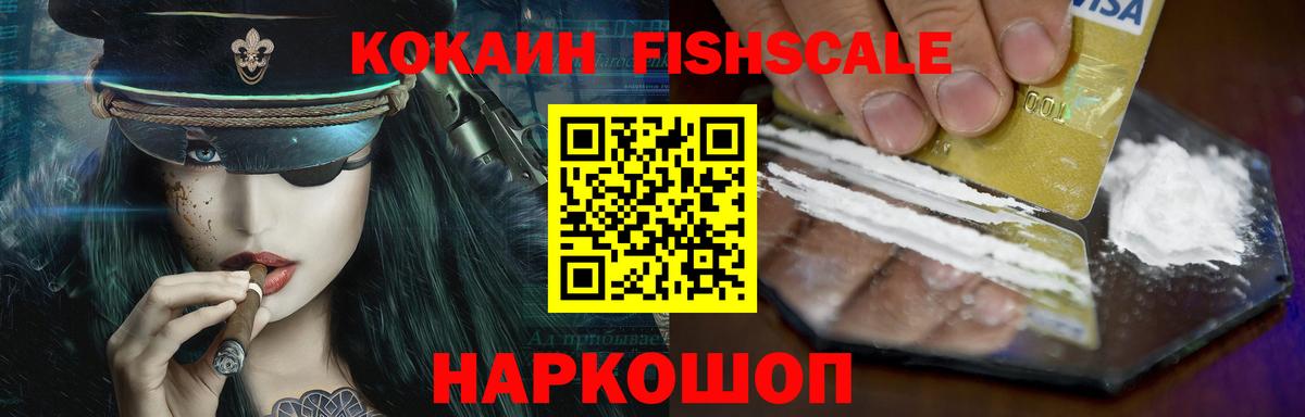 Cocaine FishScale  Вход с VPN  Владимир 