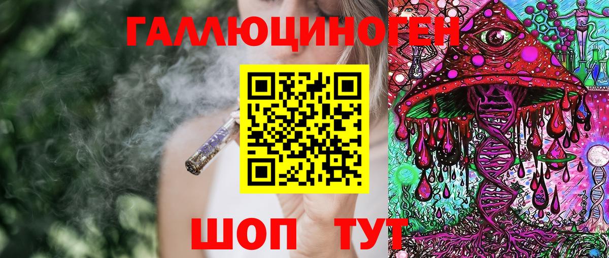 Галлюциногенные грибы Cubensis Владимир