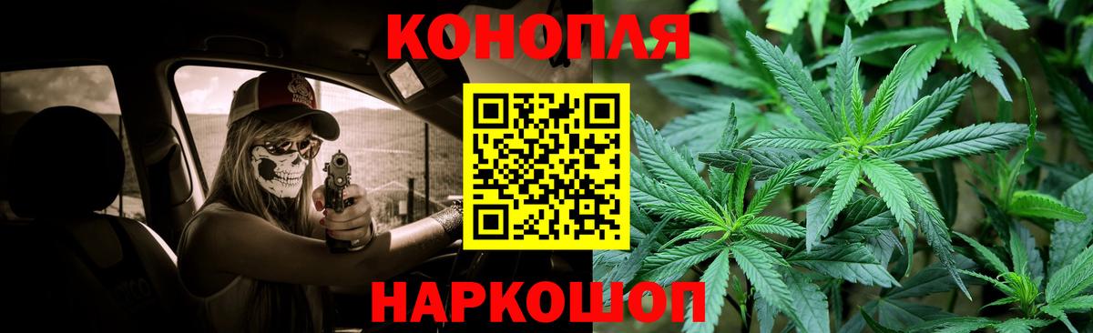 Бошки Шишки сатива Владимир